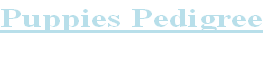Puppies Pedigree
